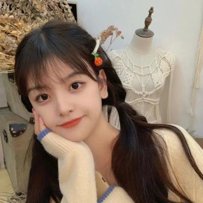 回声算法·未删减海报